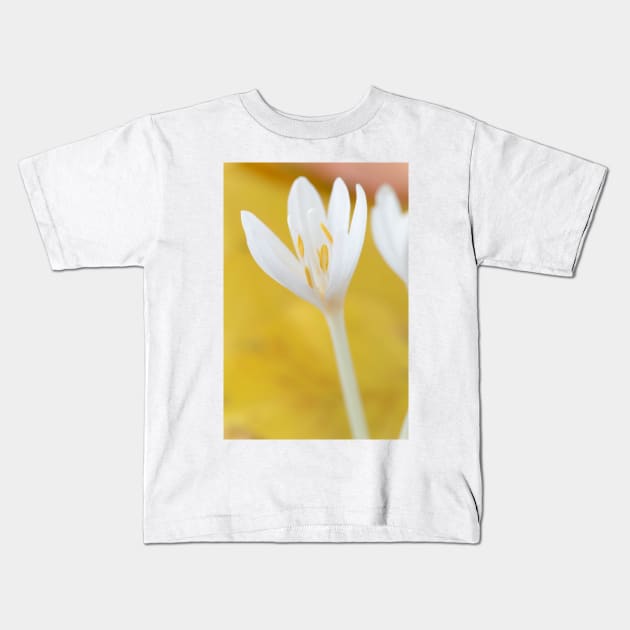 Colchicum autumnale  &amp;#39;Album&amp;#39;  Autumn crocus  Naked ladies Kids T-Shirt by chrisburrows